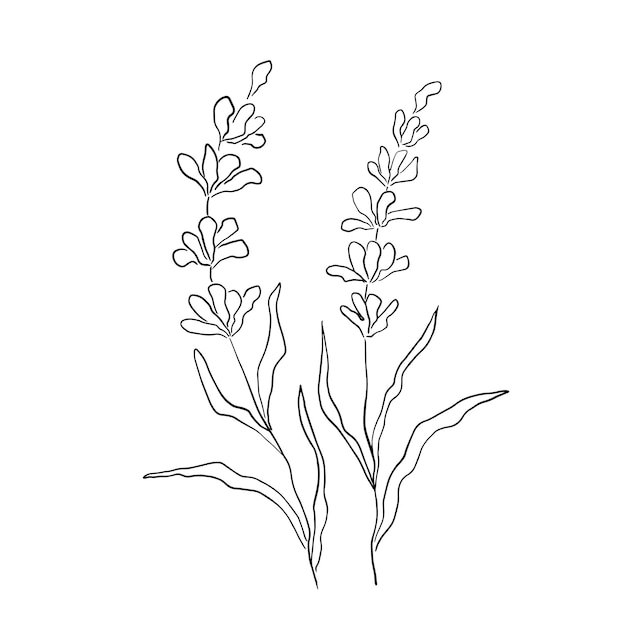 Líneas de contorno de Doodle vector de flores botánicas elementos florales