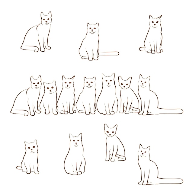 Líneas de gatos