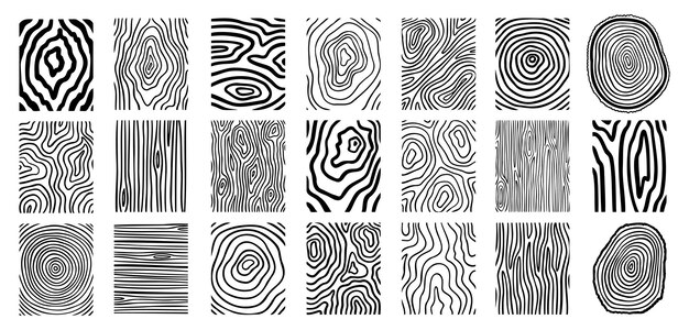 Líneas de madera textura material garabateo conjunto de líneas dibujadas a mano anillos y círculos curva geométrica del tronco del árbol