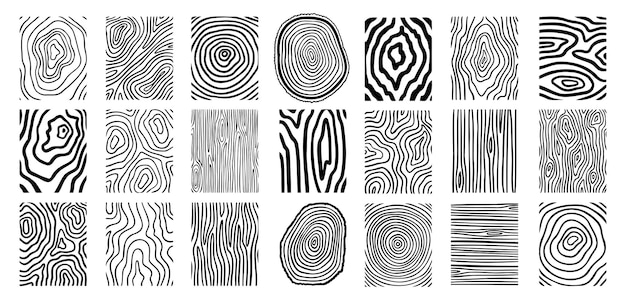 Líneas de madera textura material garabateo conjunto de líneas dibujadas a mano anillos y círculos curva geométrica del tronco del árbol