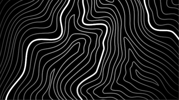líneas negras y blancas con un fondo blanco