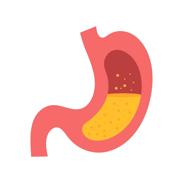 El líquido dentro del estómago Icono de gastritis Concepto médico y de salud El estómago dentro