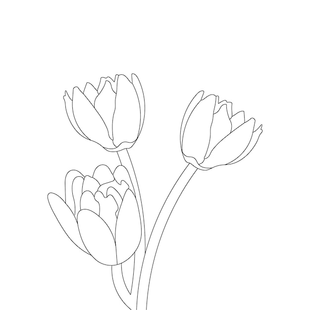 lirio de agua para colorear página y dibujo de flor de arte lineal con ilustración de vector de flor