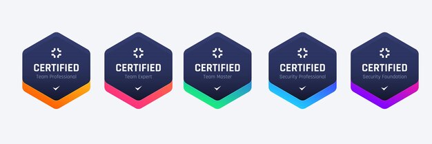 Lista de organizaciones de certificaciones de seguridad informática Base de diseño de insignia en criterios Ilustración vectorial Plantilla de logotipo de hexágono colorido