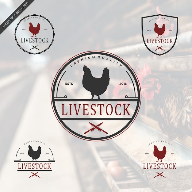 Live stock logo vintage