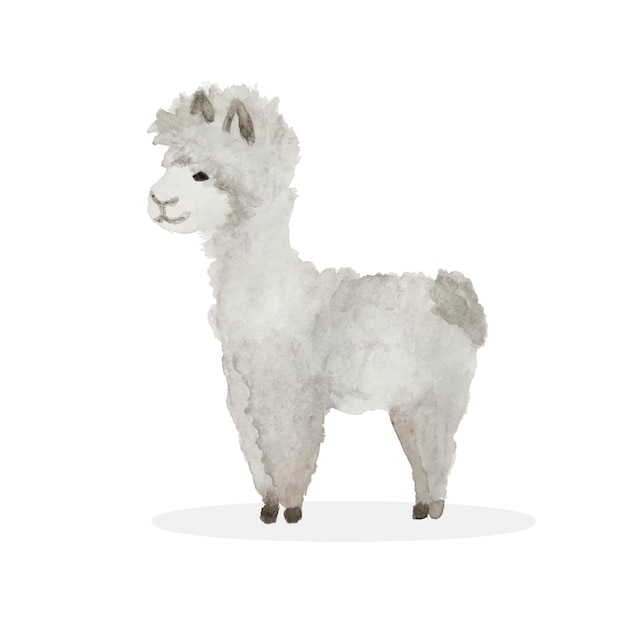 Llama dibujos animados alpaca Alpaca animal vector ilustración aislada