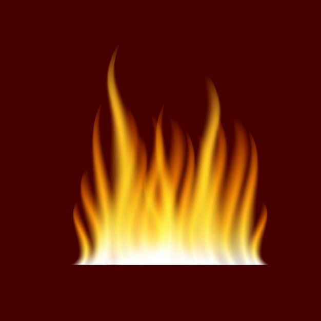 Llama de fuego ardiente realista