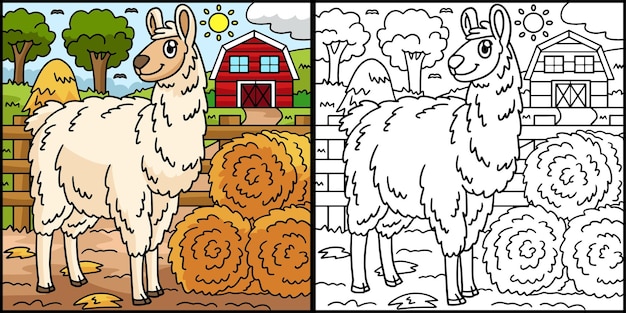 Llama página para colorear ilustración coloreada