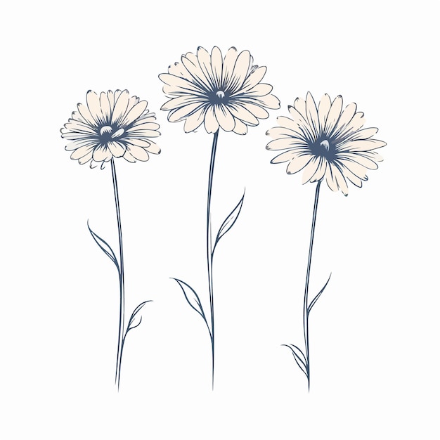 Llamativa ilustración de contorno de gerbera con trazos limpios