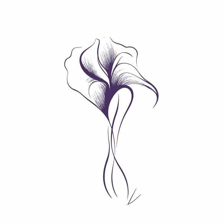 Vector llamativas ilustraciones de iris aptas para impresión y web