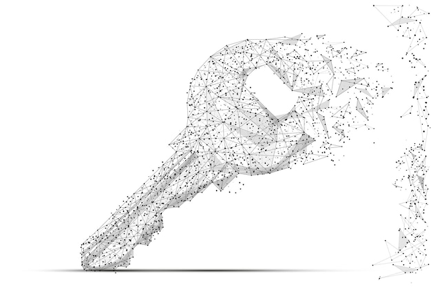 Vector llave de bloqueo aislado estructura de alambre de baja poli sobre fondo blanco protección y almacenamiento de datos arte vectorial