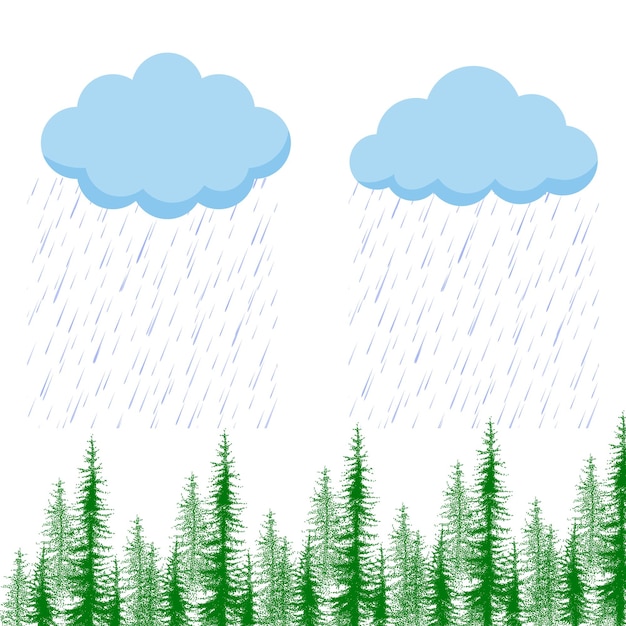 La lluvia sobre un bosque de árboles de hoja perenne