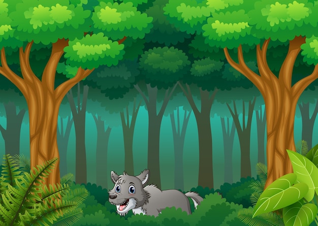 Vector lobo en el bosque interior