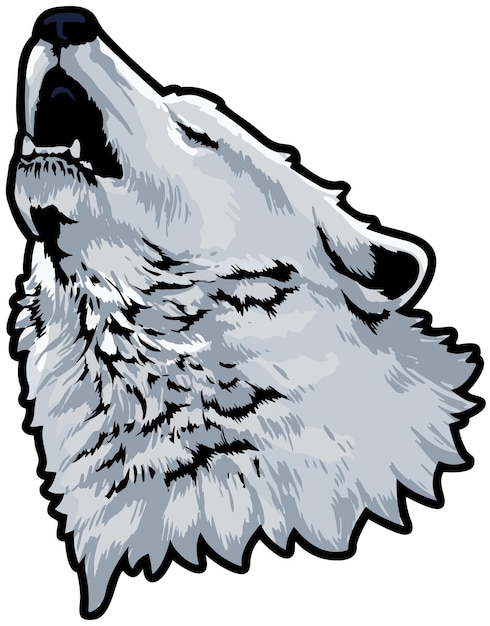 Vector lobo, cara, ilustración, salvaje, cara, vector