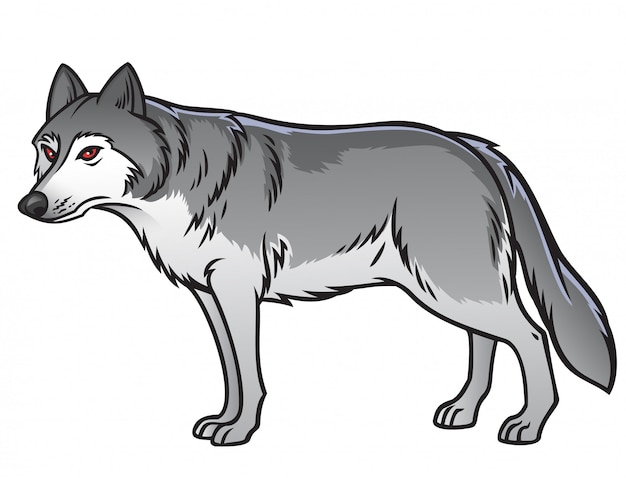 Vector lobo gris