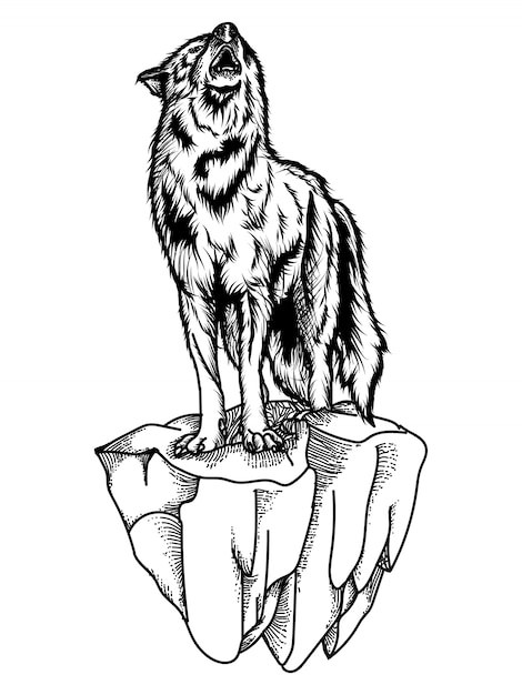 Lobo ruge ilustración en blanco y negro