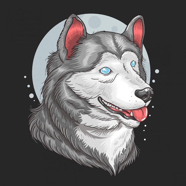 Lobo siberiano Huskey ojos azules ilustraciones