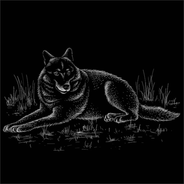 El lobo para tatuaje o diseño de camiseta o ropa exterior.