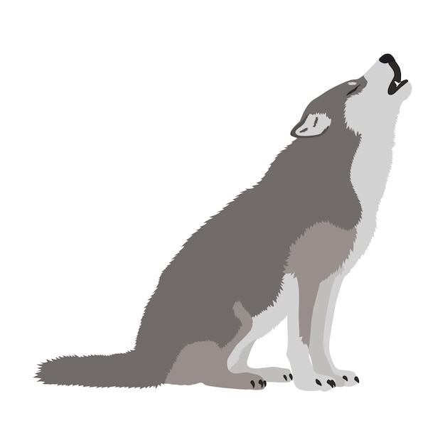 Vector lobo vectorial realista aullando sobre un fondo blanco