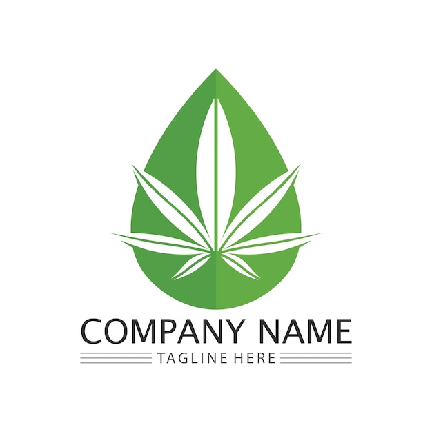 Vector logo de cannabis y vector de icono de hoja de marihuana