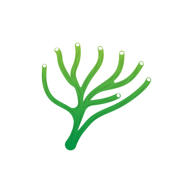 Logo Coral Planta Marina Diseño Lugar Animal Marino Algas Mar Vector