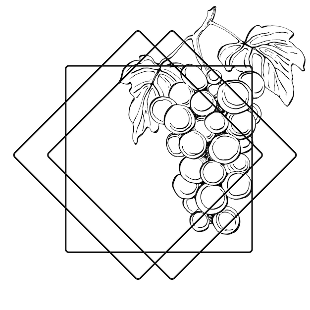 Logo emblema de uva