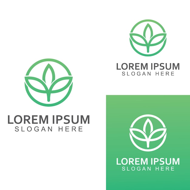 Logo de hoja verde Plantas de jardín y diseño de vector de naturaleza Plantilla de vector de ilustración de concepto