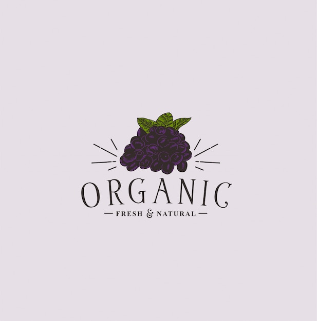 Logo vintage orgánico dibujado a mano