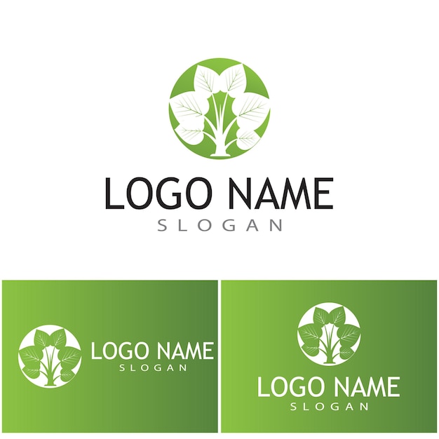 Logos de árbol verde hoja ecología naturaleza elemento vector