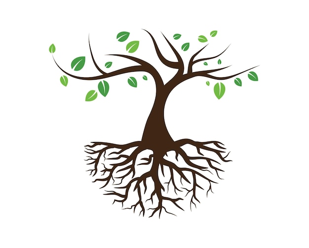 Logos de hoja de árbol verde