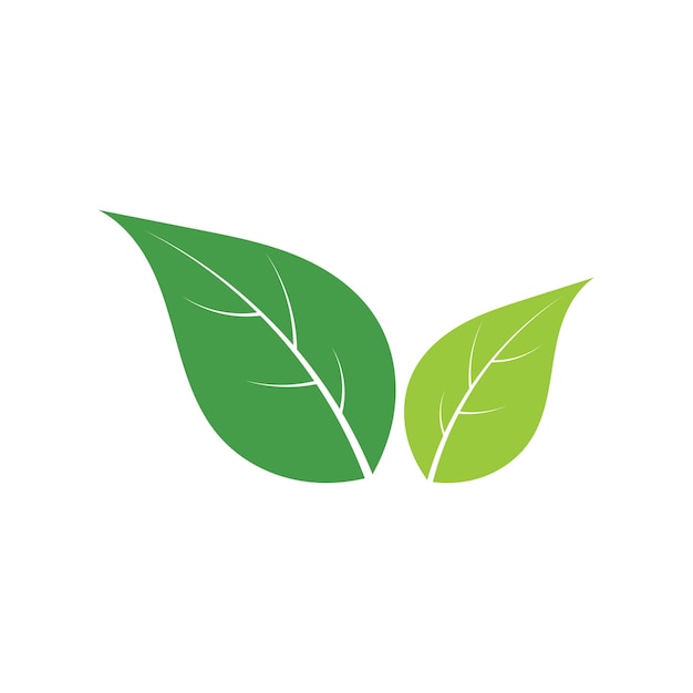 Logos de vector de elemento de naturaleza de ecología de hoja de árbol verde