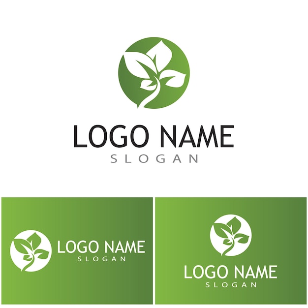 Logos de vector de elemento de naturaleza de ecología de hoja de árbol verde