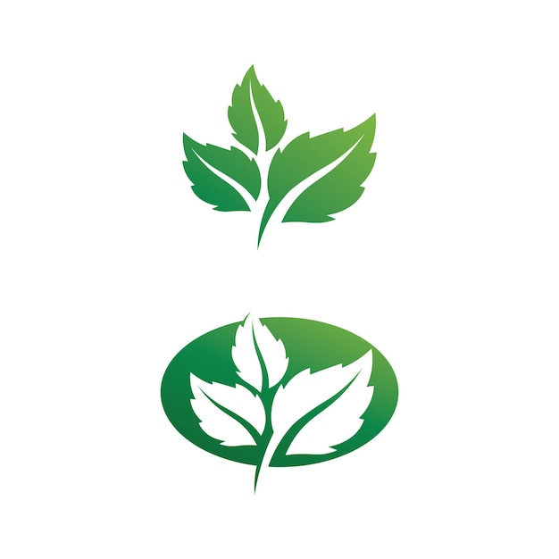 Logos de vector de elemento de naturaleza de ecología de hoja de árbol verde