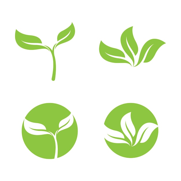 Logos de vector de elemento de naturaleza de ecología de hoja de árbol verde