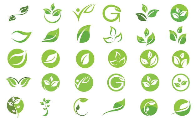 Logos de vector de elemento de naturaleza de ecología de hoja de árbol verde