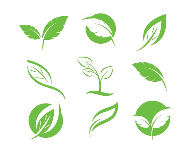 Logos de vector de elemento de naturaleza de ecología de hoja verde