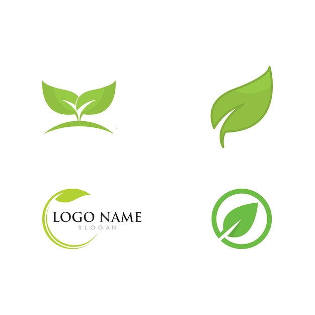 Logos de vector de elemento de naturaleza de ecología de hoja verde