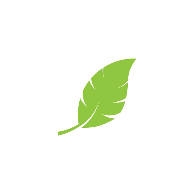 Logos de verde Vector de elementos naturales de la ecología de las hojas de los árboles