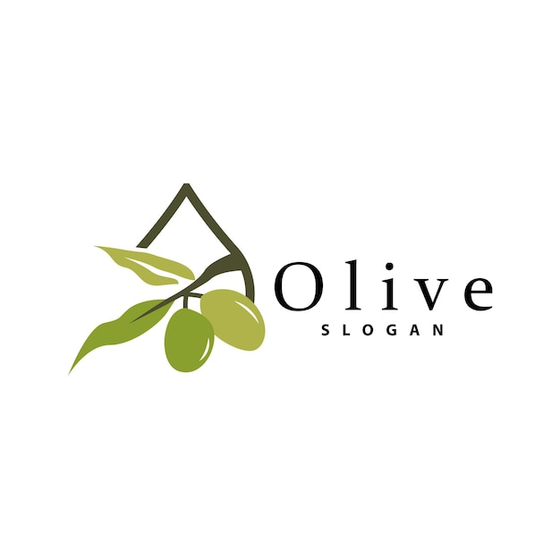 Logotipo de aceite de oliva planta de hoja de olivo jardín de hierbas vector ilustración de plantilla de diseño de icono de lujo elegante simple