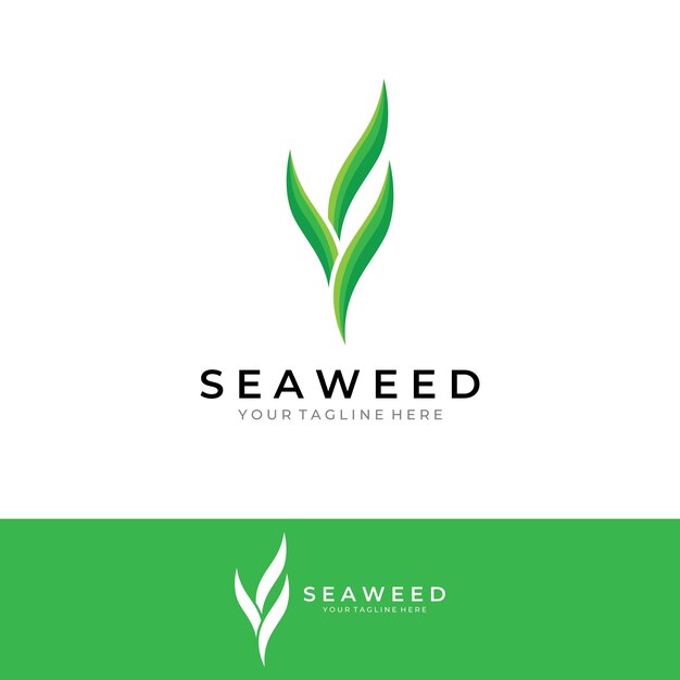 Logotipo de algas marinas con diseño de vector de ilustración de plantilla