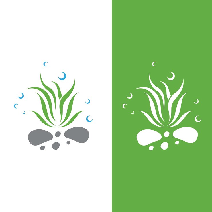 Vector logotipo de algas marinas con diseño de vector de ilustración de plantilla
