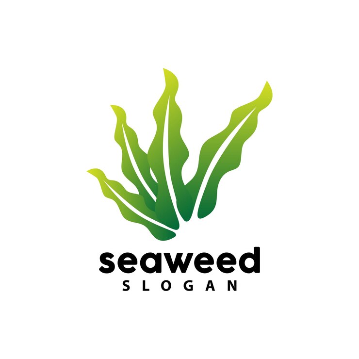 Vector logotipo de algas marinas planta submarina vector hoja simple diseño ilustración plantilla símbolo icono