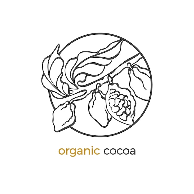 Logotipo del árbol de cacao con hojas, grano de frijol, fruta, diseño de línea de arte botánico en círculo, planta de chocolate.