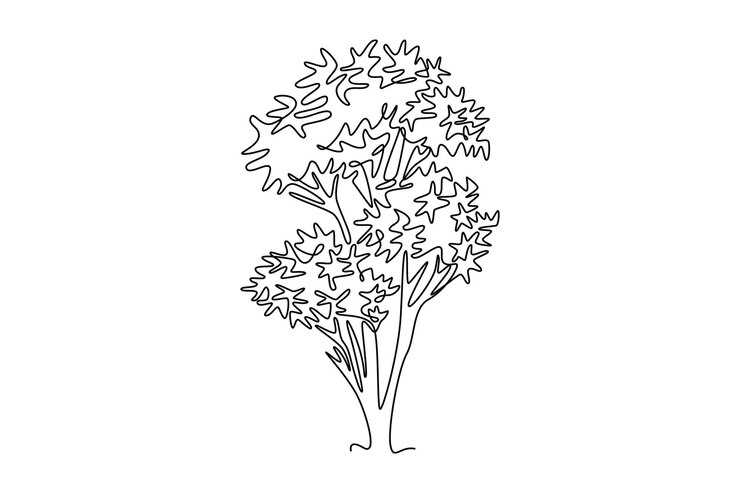 Vector el logotipo del árbol de sakura de belleza de japón
