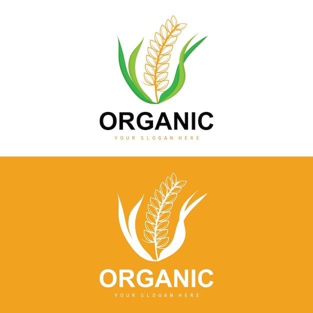 Logotipo de arroz de trigo Plantas orgánicas agrícolas Vector Diseño de lujo Ingredientes de panadería dorada