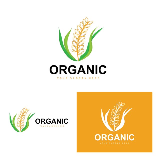 Logotipo de arroz de trigo Plantas orgánicas agrícolas Vector Diseño de lujo Ingredientes de panadería dorada