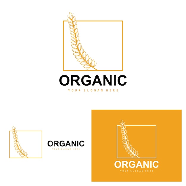 Logotipo de arroz de trigo Plantas orgánicas agrícolas Vector Diseño de lujo Ingredientes de panadería dorada