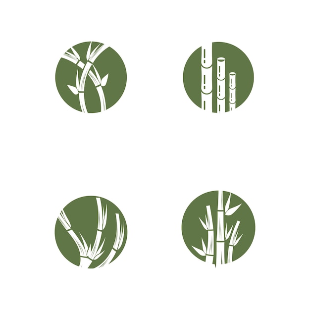 Logotipo de bambú Diseño de ilustraciones de íconos vectoriales