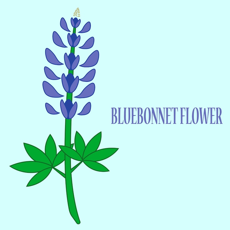 Vector el logotipo de bluebonnet de dibujos animados la plantilla de diseño del icono de la ilustración vectorial aislada plana