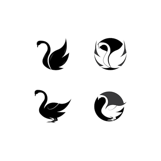 Logotipo del cisne Diseño de ilustración vectorial de plantilla